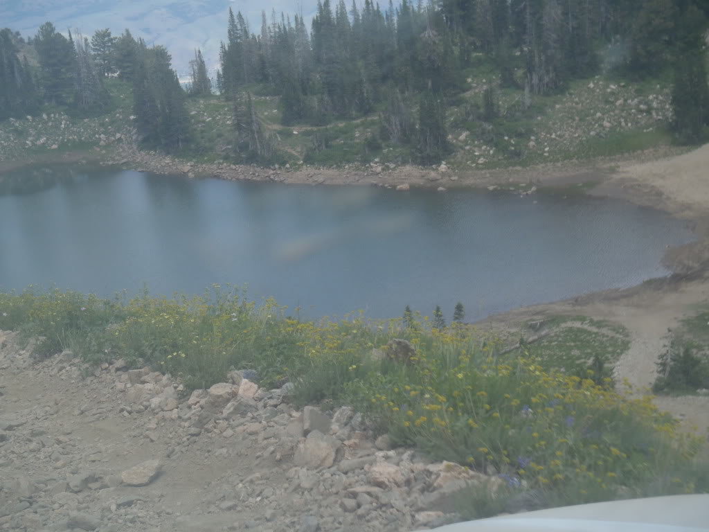 P7170052_711d057889a58687b759cd8fe41fc53bd85078cf.jpg