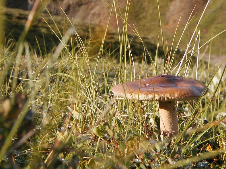 P8050012.jpg