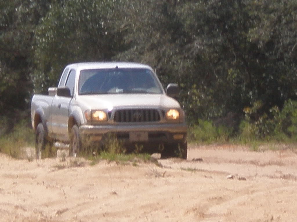 P8130737_3942cdc77c12e0b2866064cd0add0fc08c693e6b.jpg