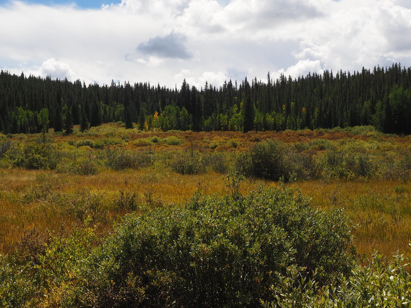 P9031031.jpg