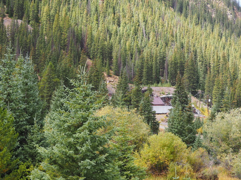 P9041054.jpg