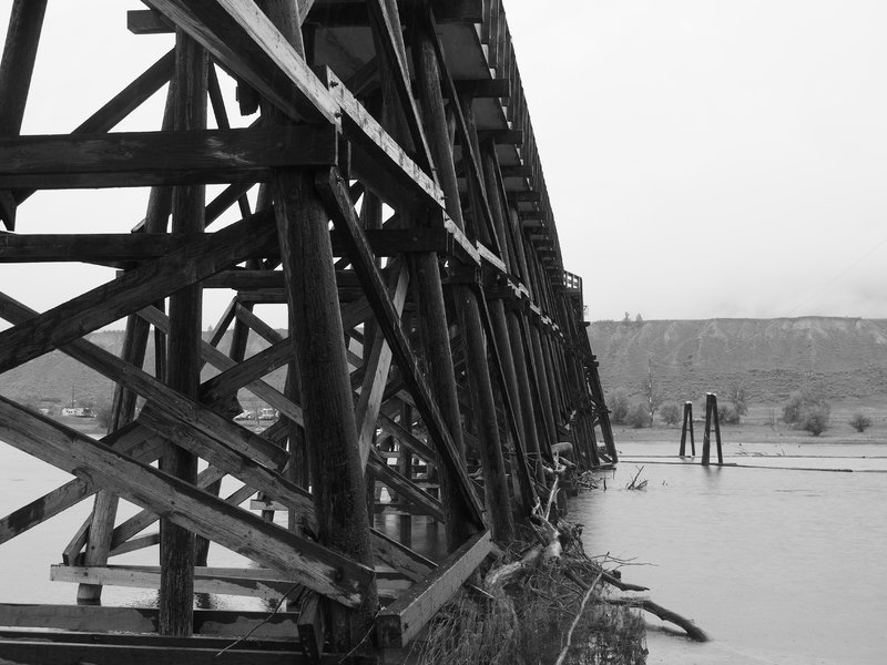 P9170155.jpg
