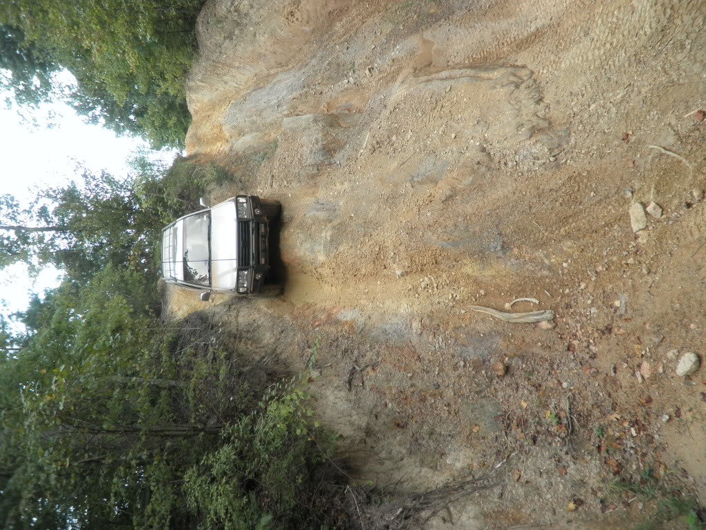 P9180112_7dc387b44743447cfb9b6e57418875e21adfcad9.jpg