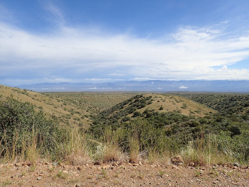 P9270334.jpg