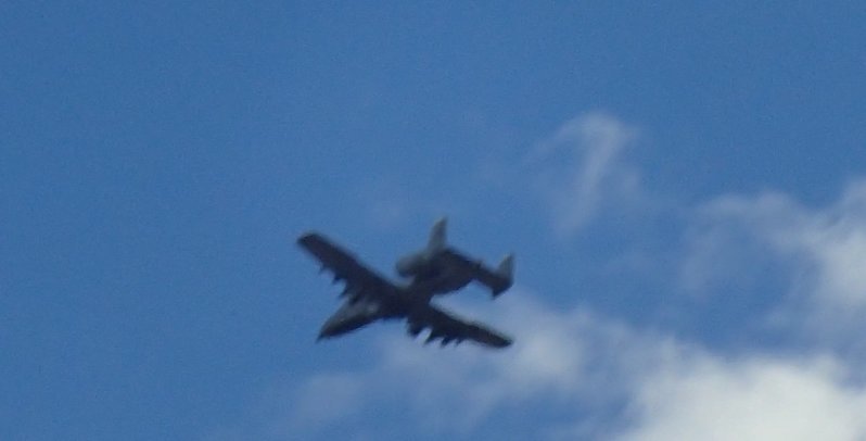 P9270373.jpg