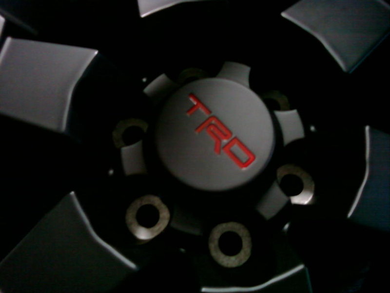 p_00307.jpg