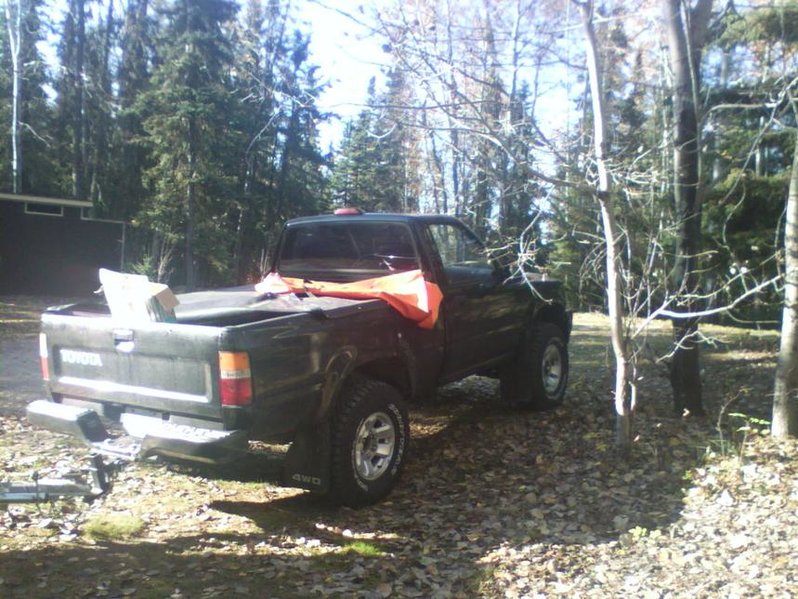P_01387.jpg