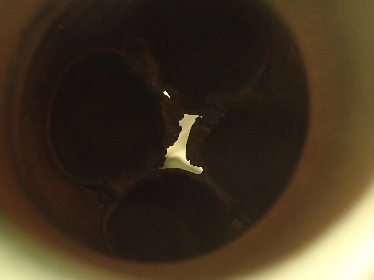 PA010393.jpg
