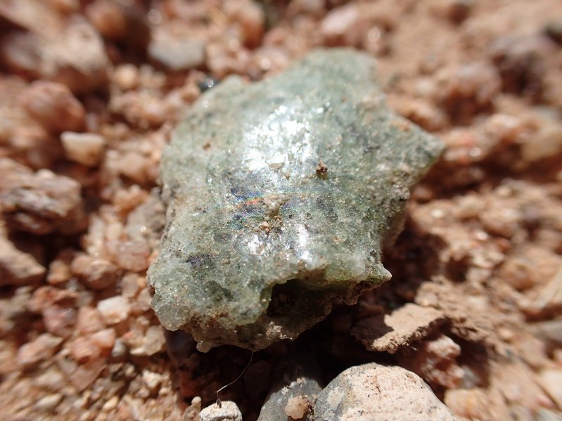 PA010538.jpg