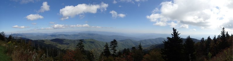 PA051019.jpg