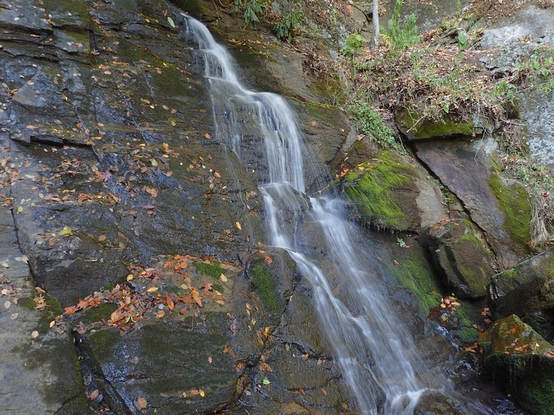 PA051022.jpg
