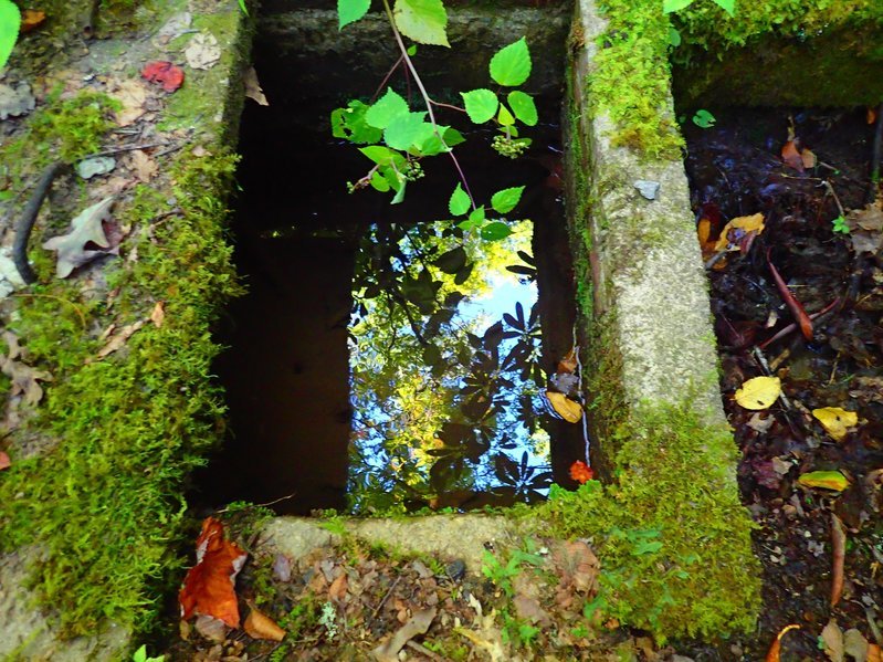 PA051030.jpg