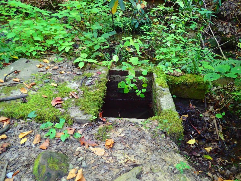 PA051031.jpg
