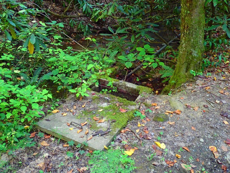 PA051032.jpg