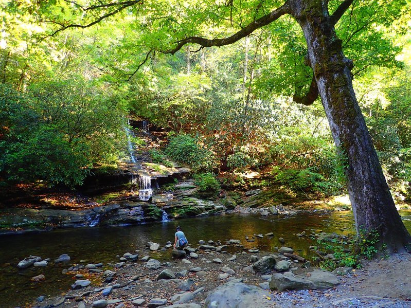 PA051041.jpg
