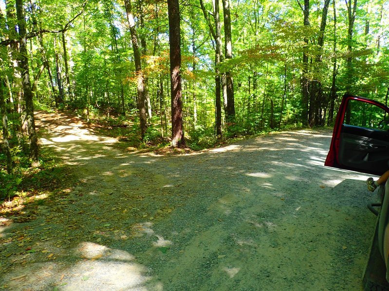 PA061071.jpg