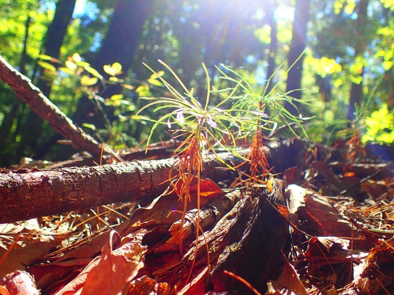 PA061075.jpg
