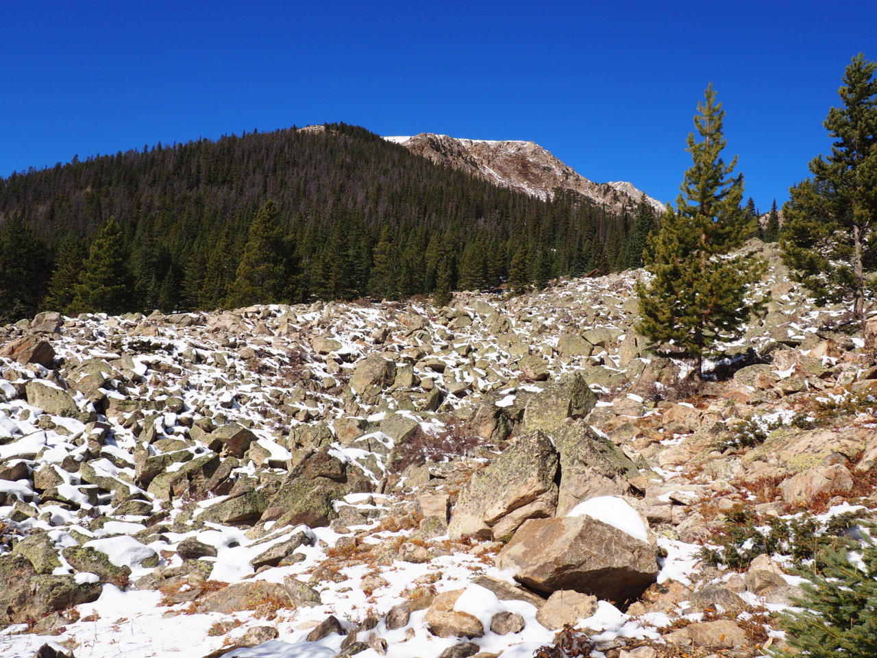 PA120882.jpg