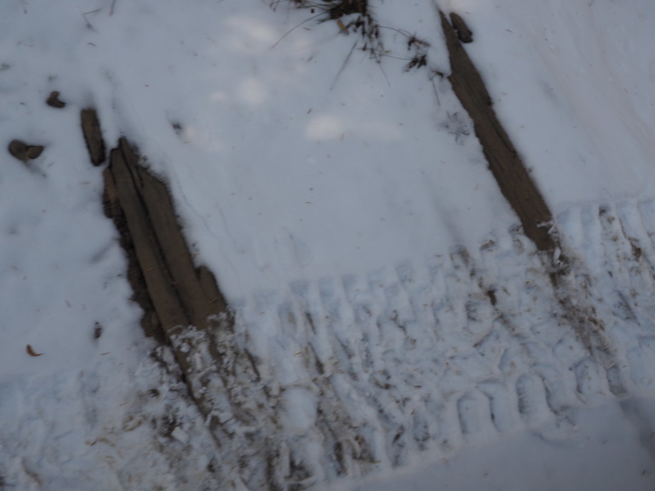 PA120905.jpg