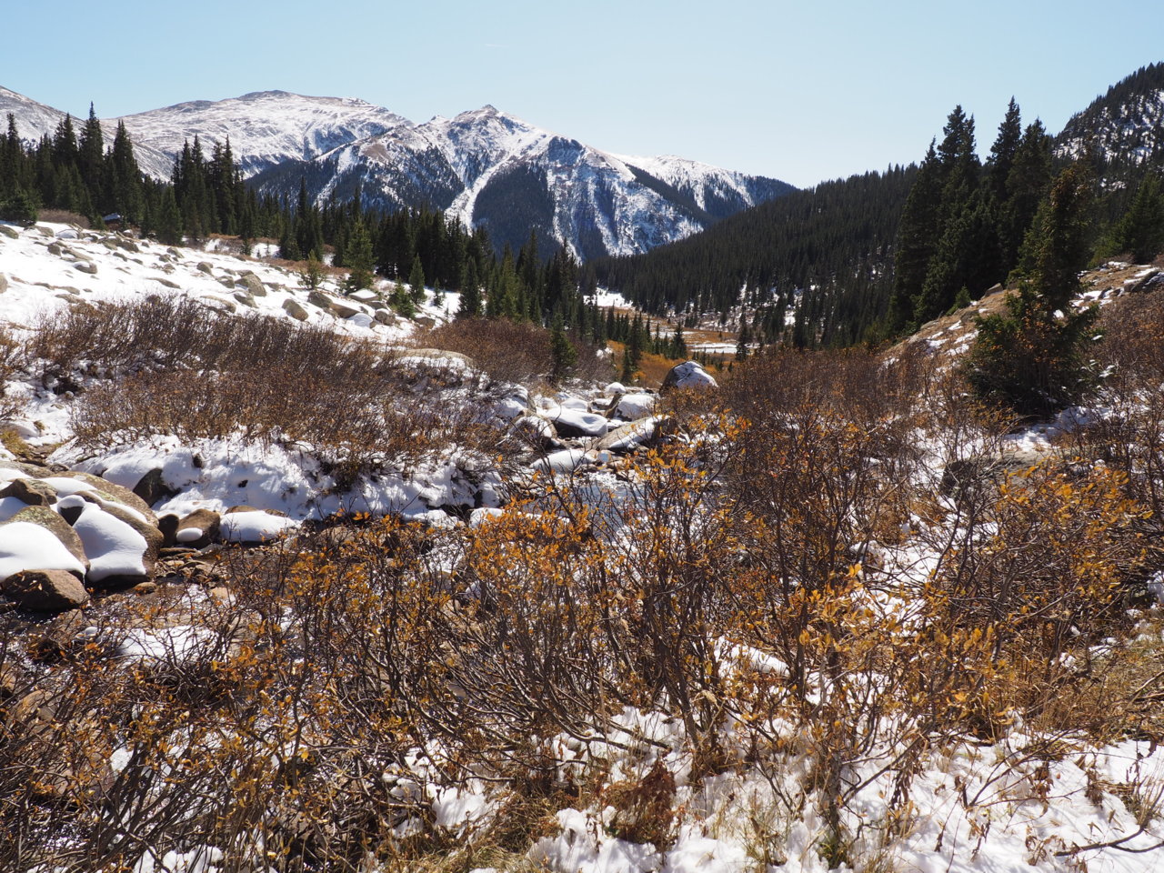 PA120928.jpg