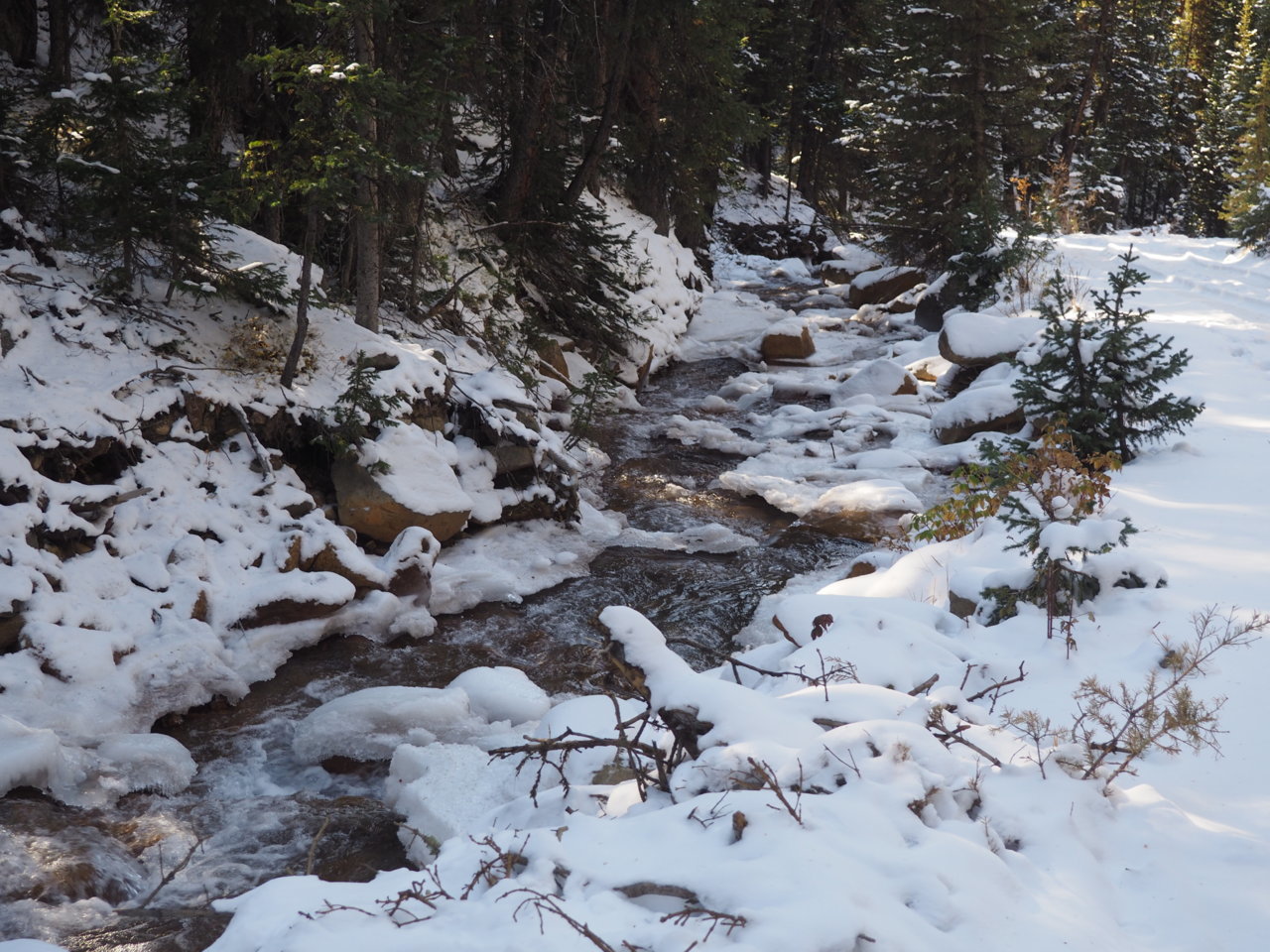 PA120973.jpg