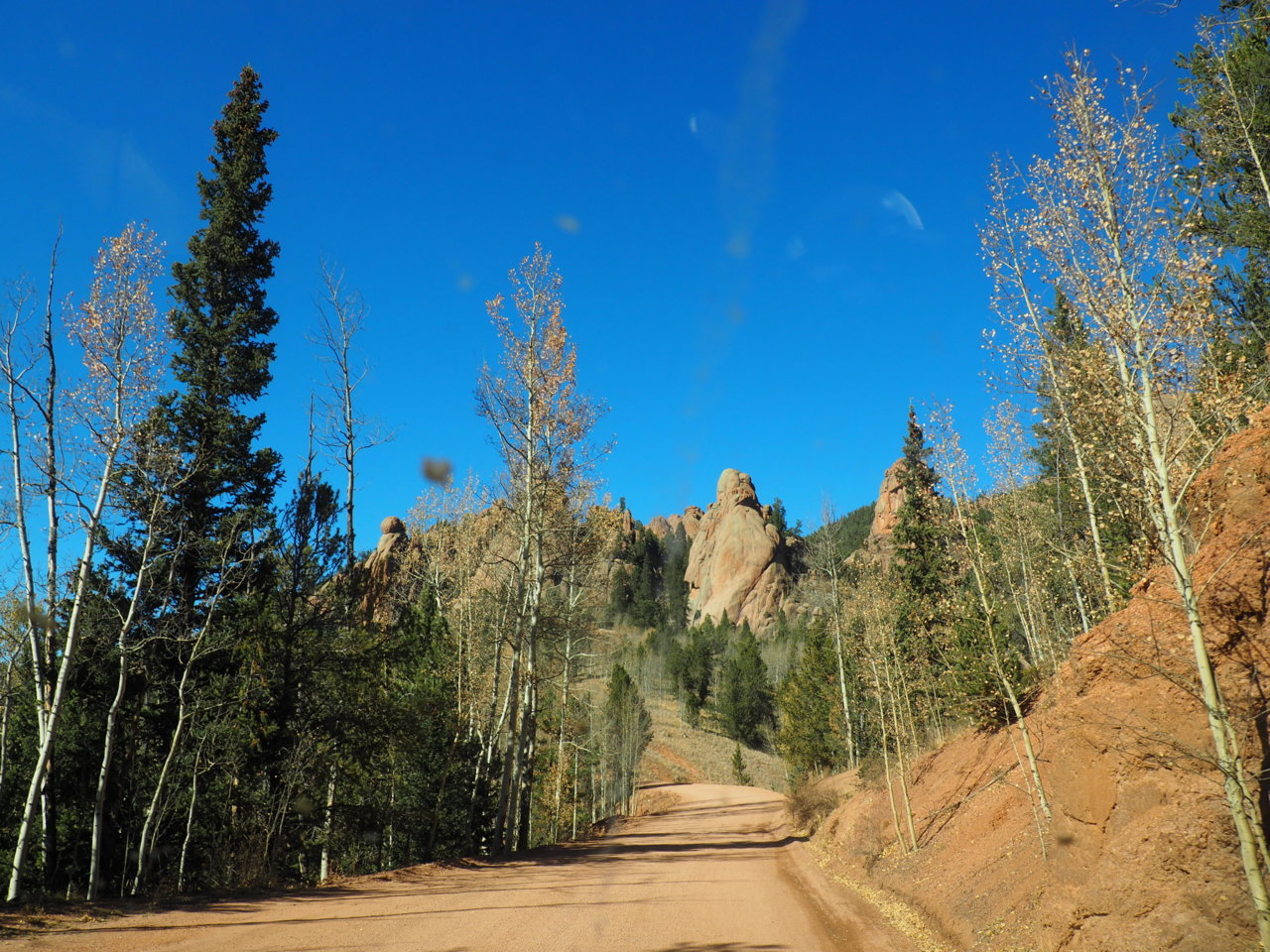 PA130981.jpg
