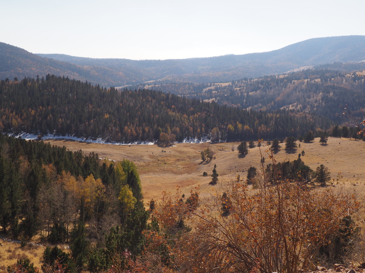 PA130986.jpg