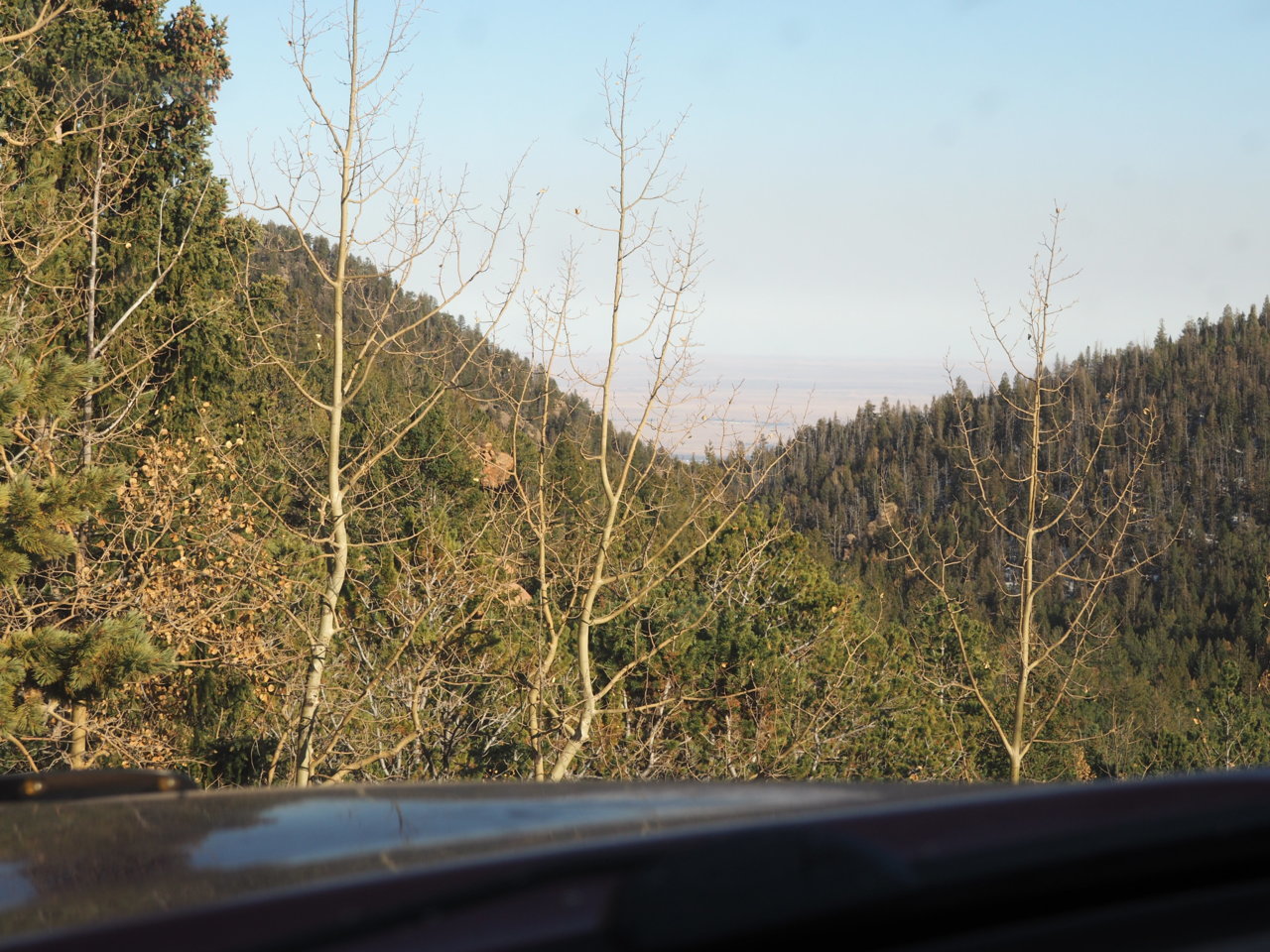 PA130993.jpg