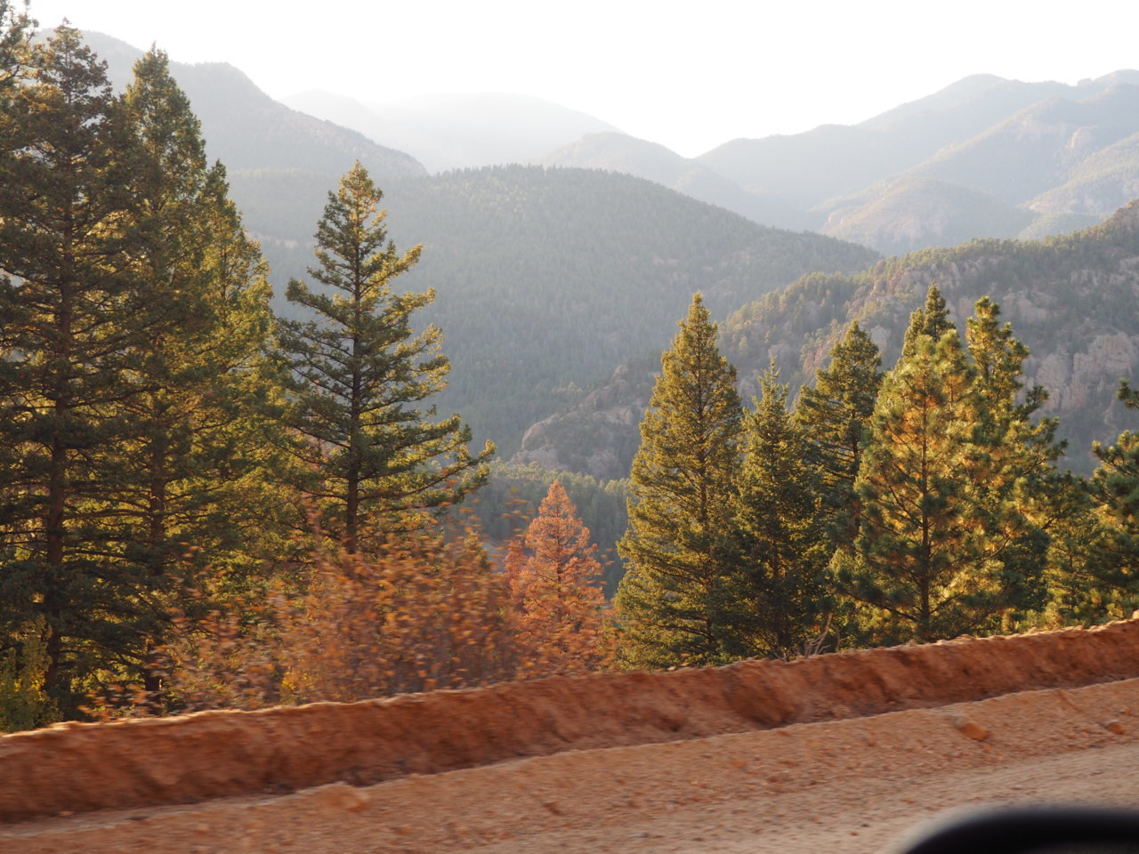 PA131004.jpg