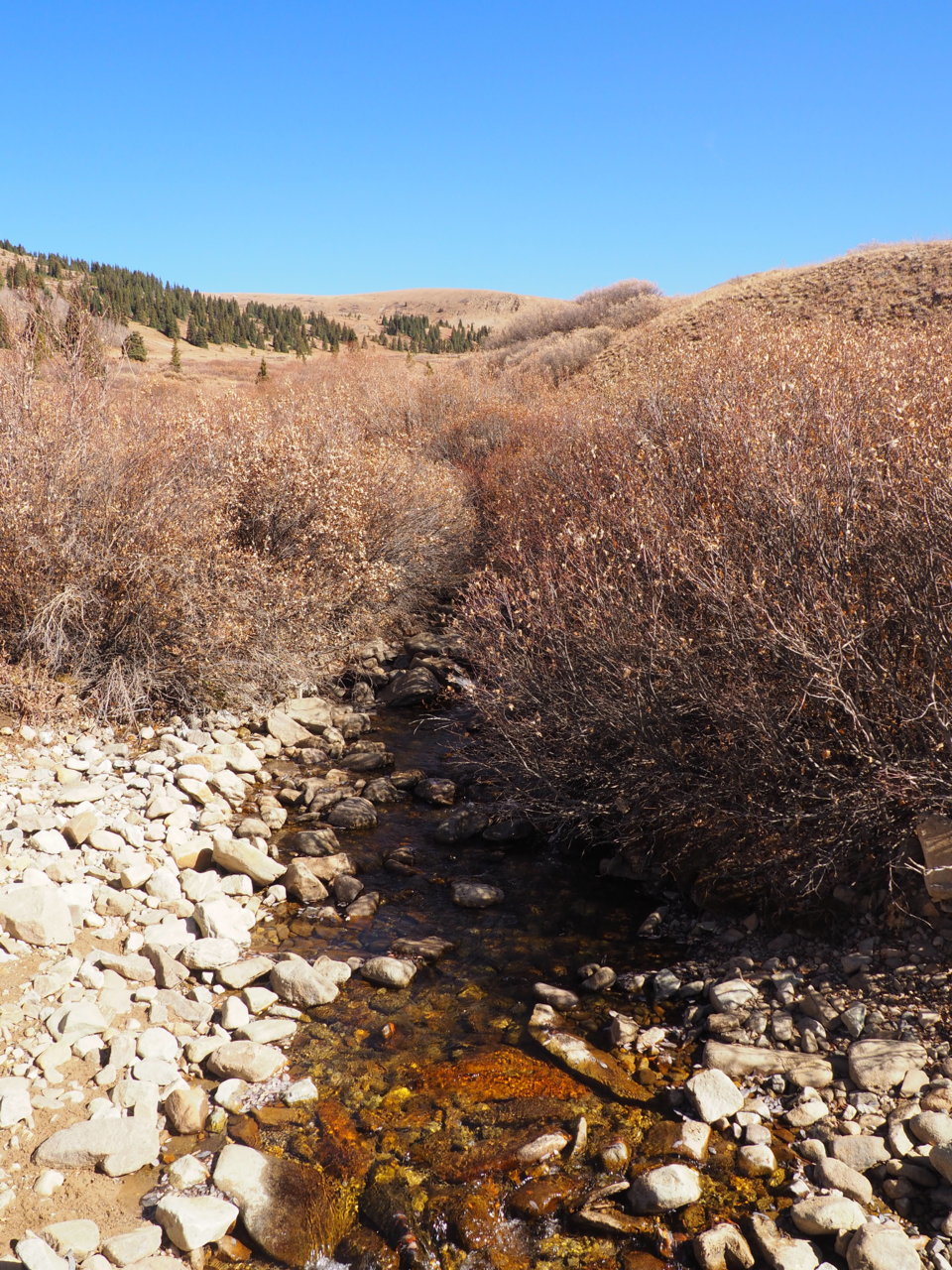 PA141025.jpg