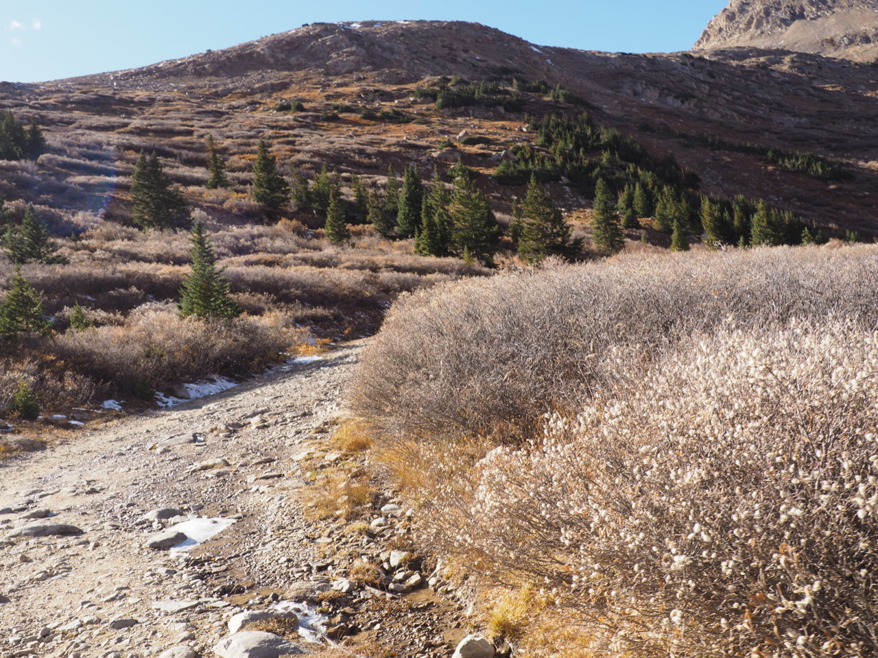 PA141113.jpg