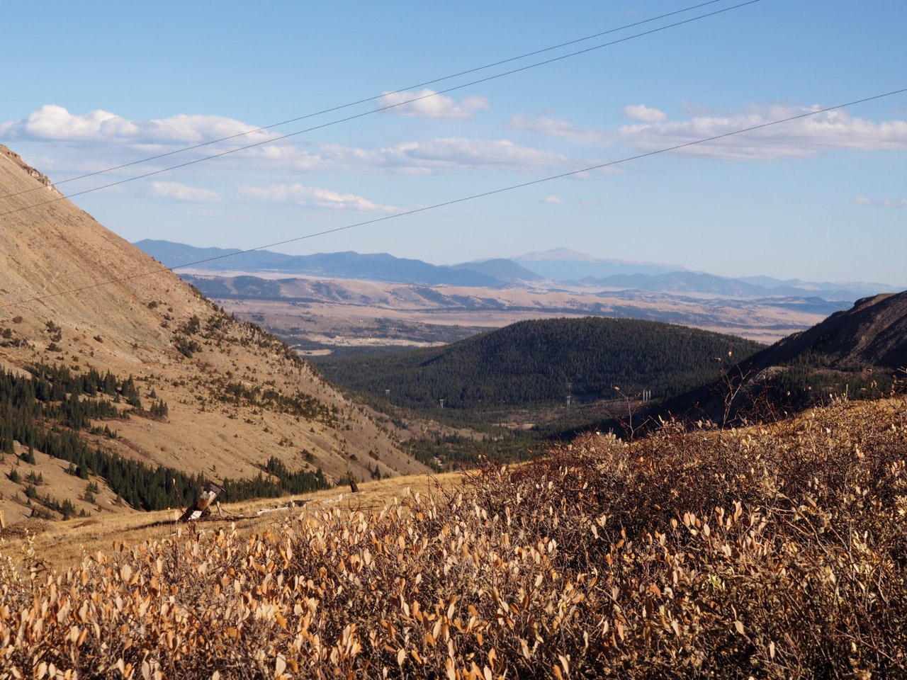 PA141142.jpg