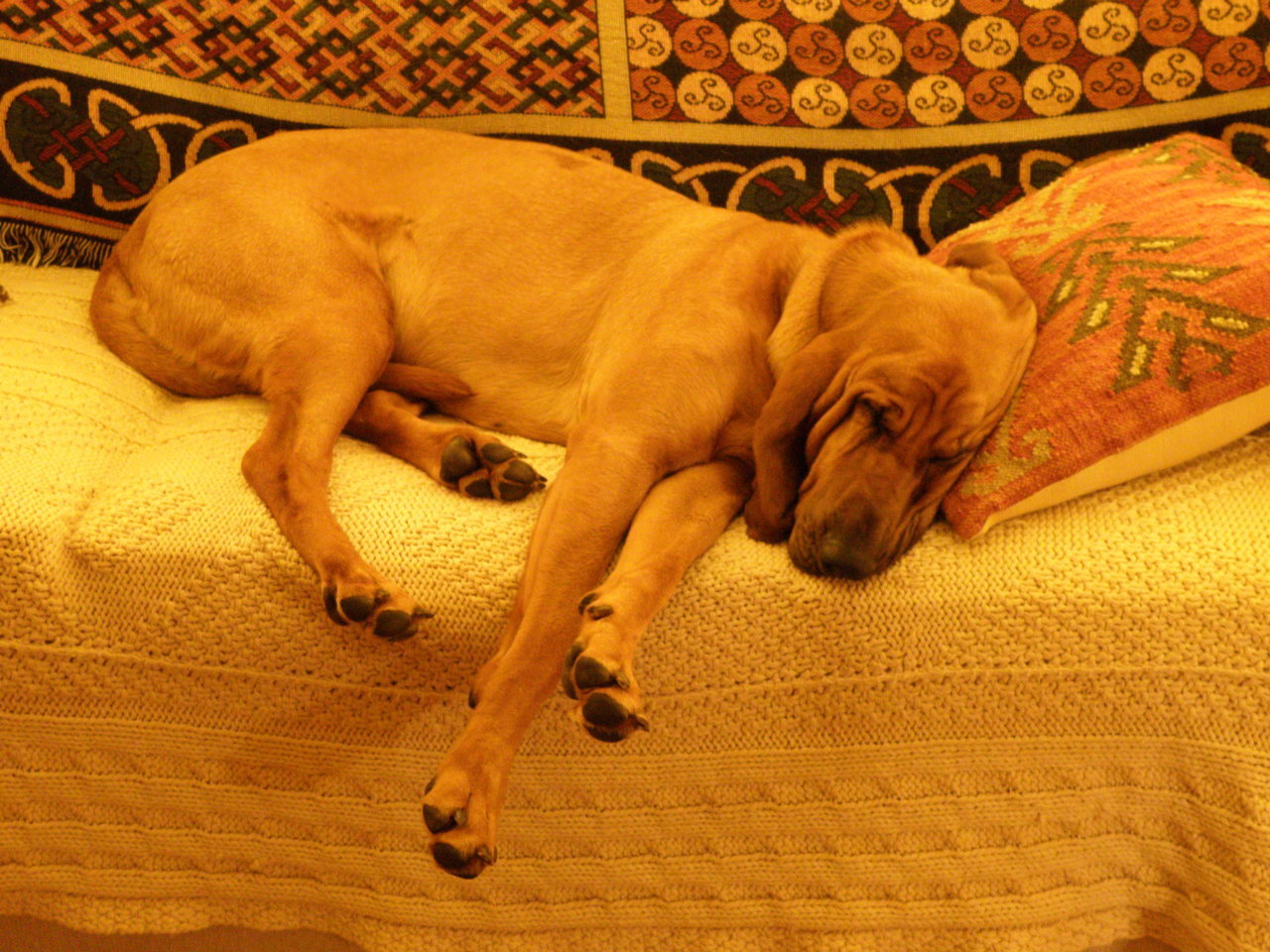 PA180004.jpg