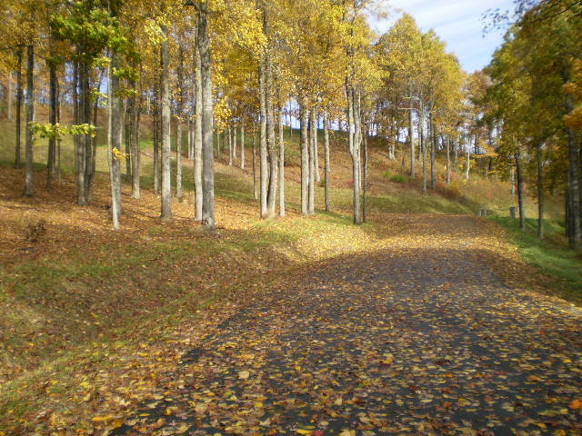 PA220015.jpg