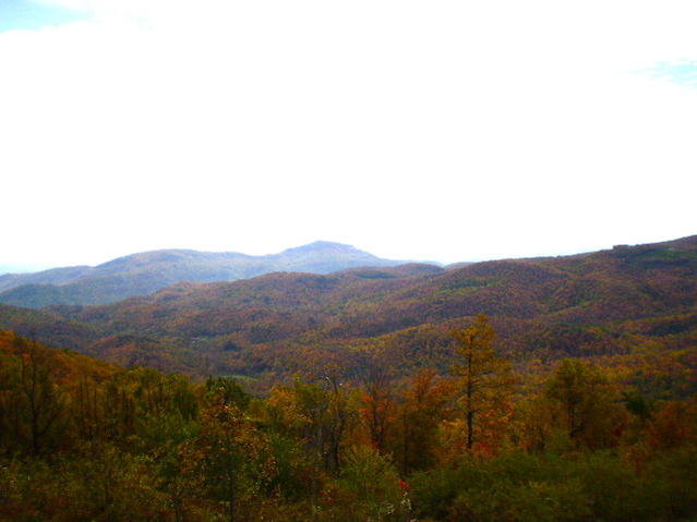 PA220021.jpg