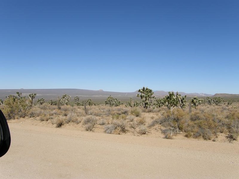 PA240004.jpg