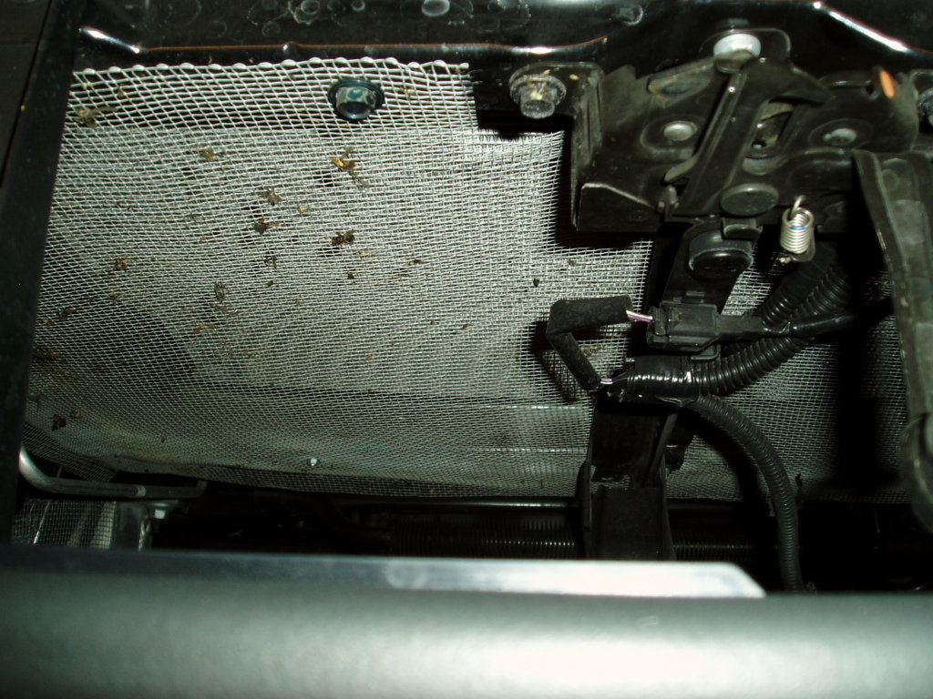 PA270461.jpg