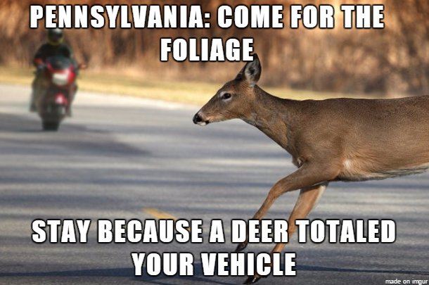PA3.png