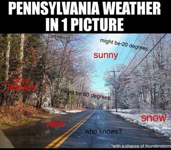 PA9.jpg