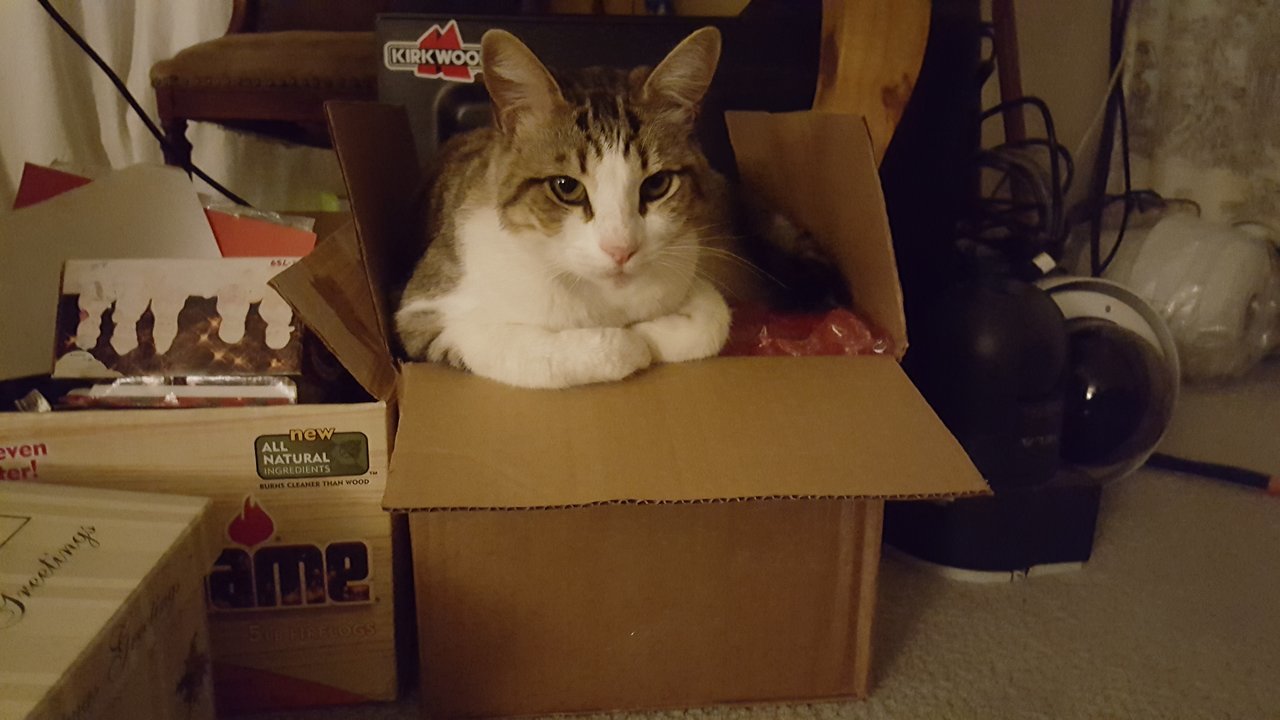 package in the mail.jpg