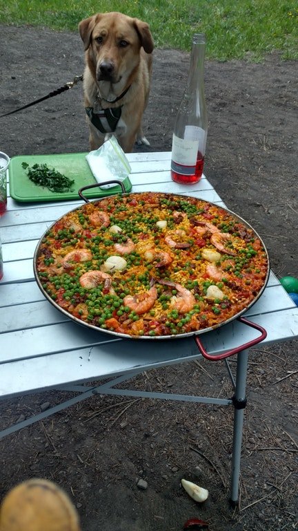 Paella at Bogan Flats Co 6.2.18.jpg