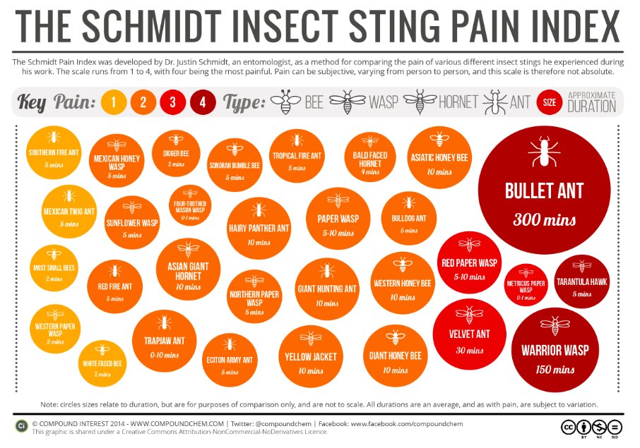 painindex.jpg