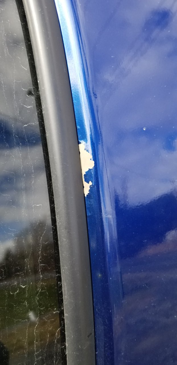 Paint1.jpg