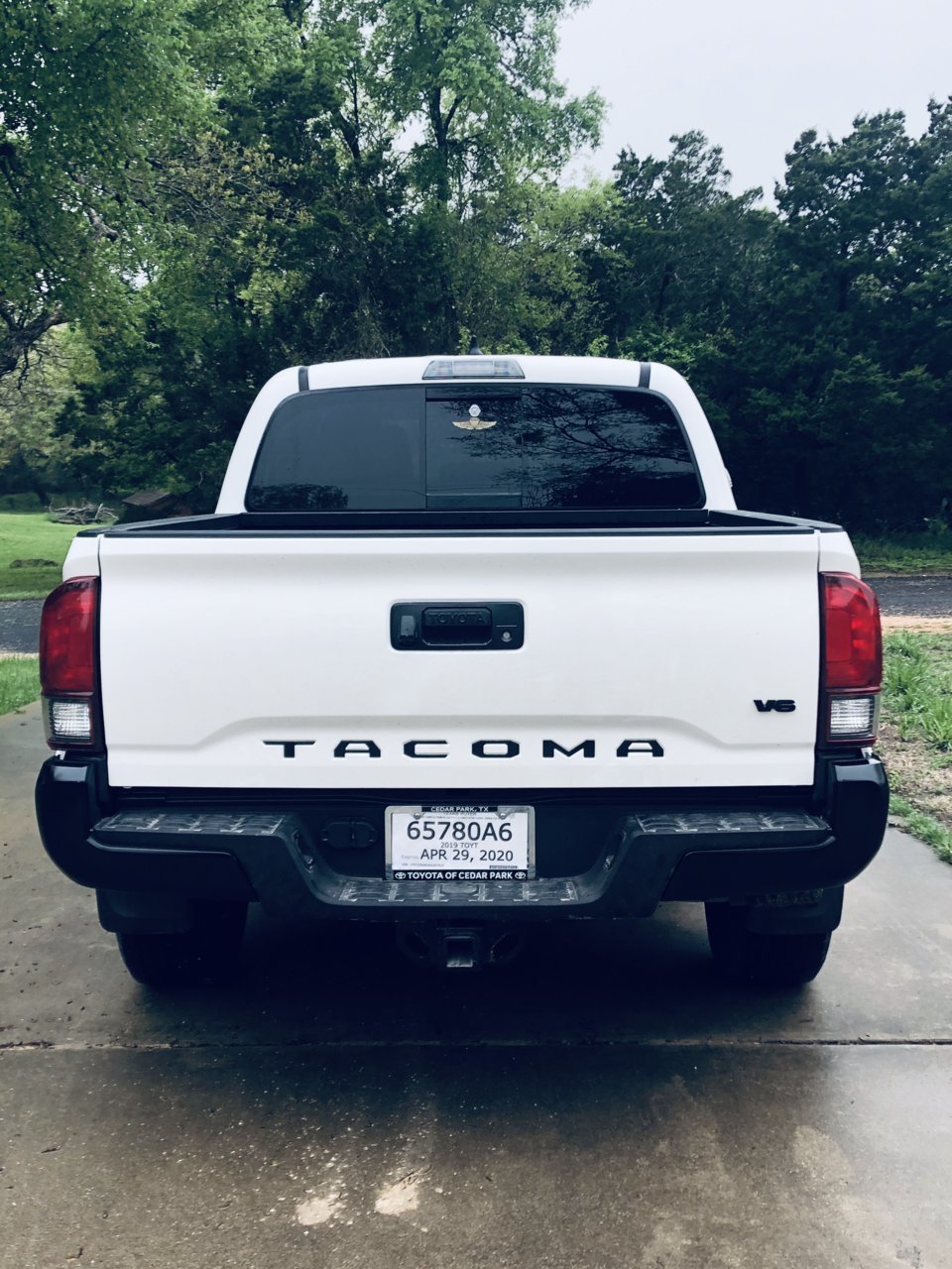 Paint_Rear.jpg