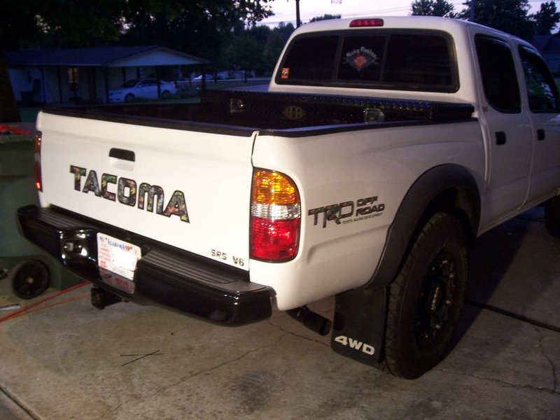 Painted Bumper 3.jpg