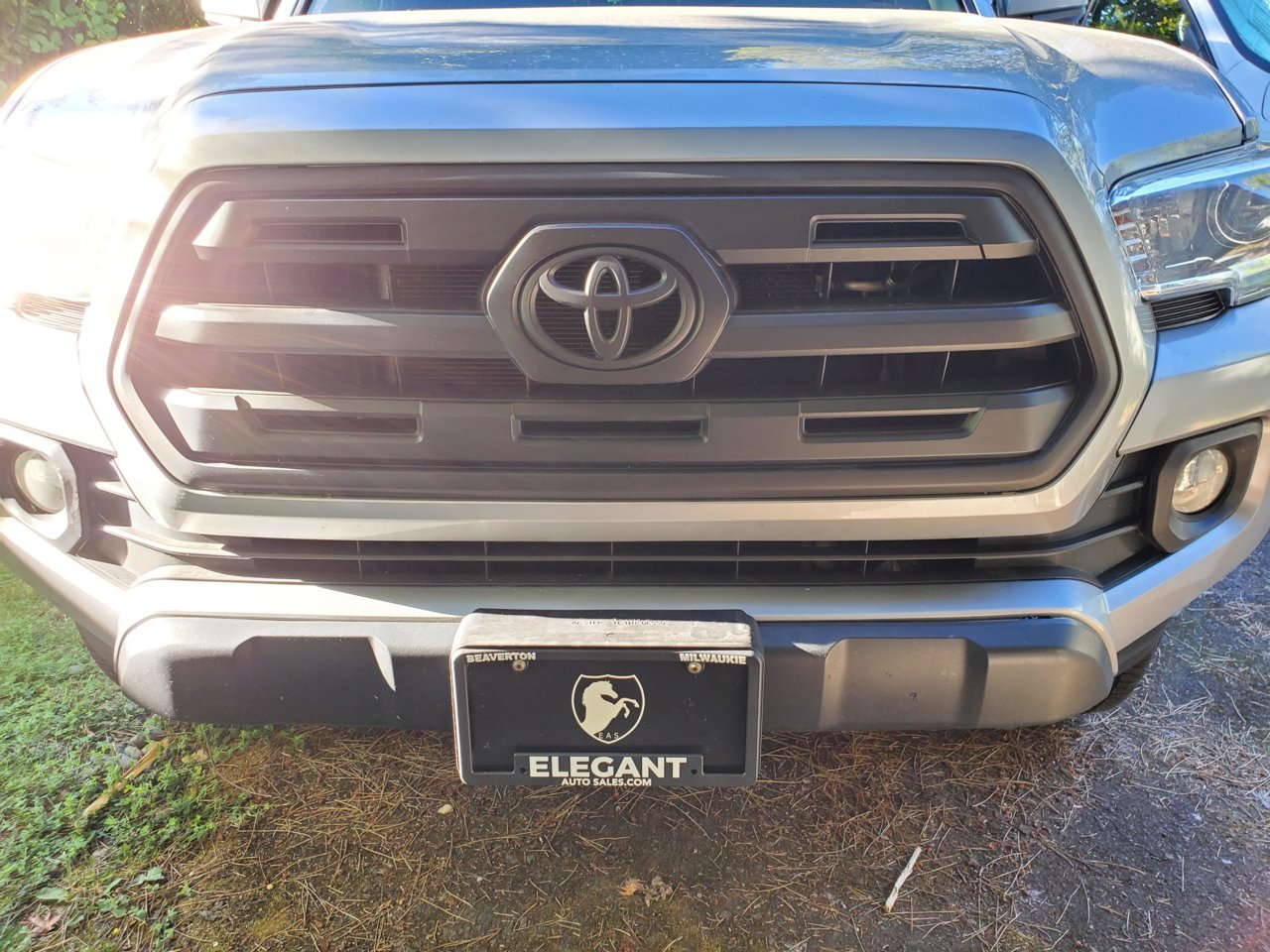 Painted_Front_2.jpg
