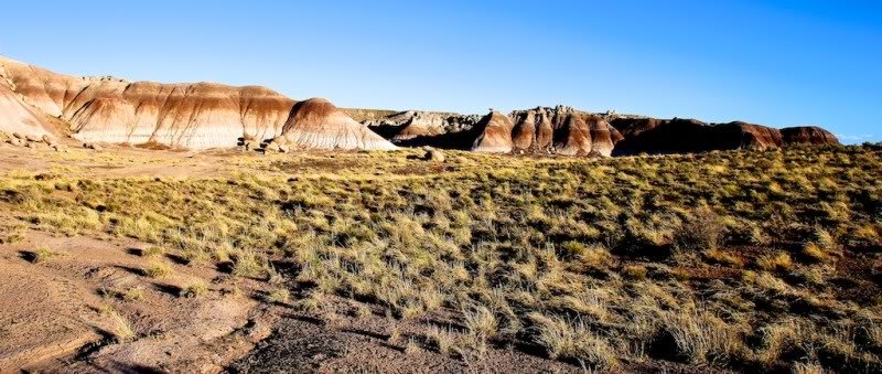 Painteddesert1_42f8c8ce7df35cff3dc6e4f7094eafc749528ebb.jpg