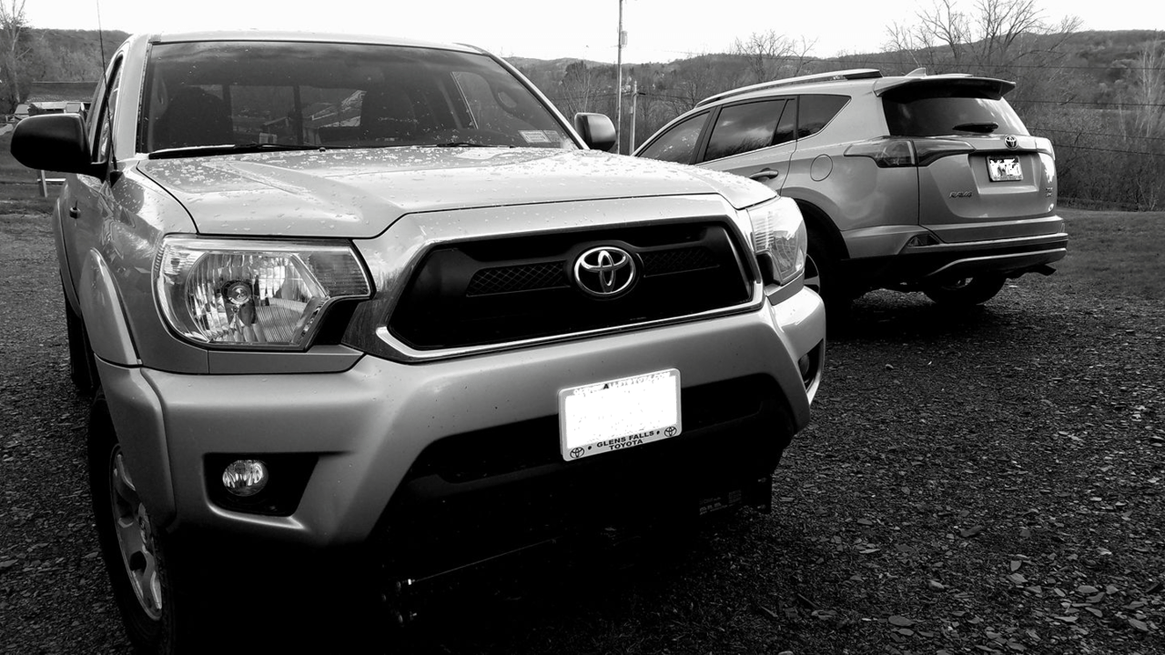 Pair of Toys.png