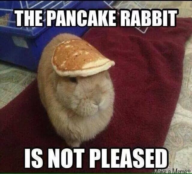 pancake bunny 2.jpg