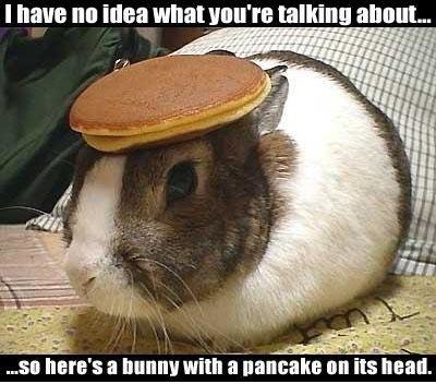 pancake-bunny_213477dde2f39b950fb45609c37217dfc9c2a724.jpg